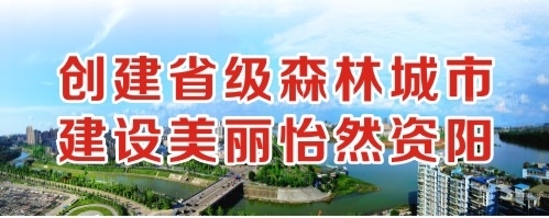 日死你网站创建省级森林城市 建设美丽怡然资阳